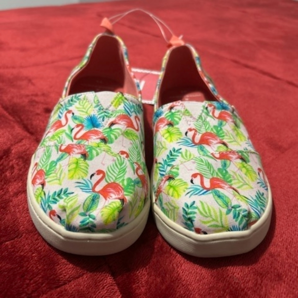 LIMITED Edition Pink Flamingo‎ Toms Y5